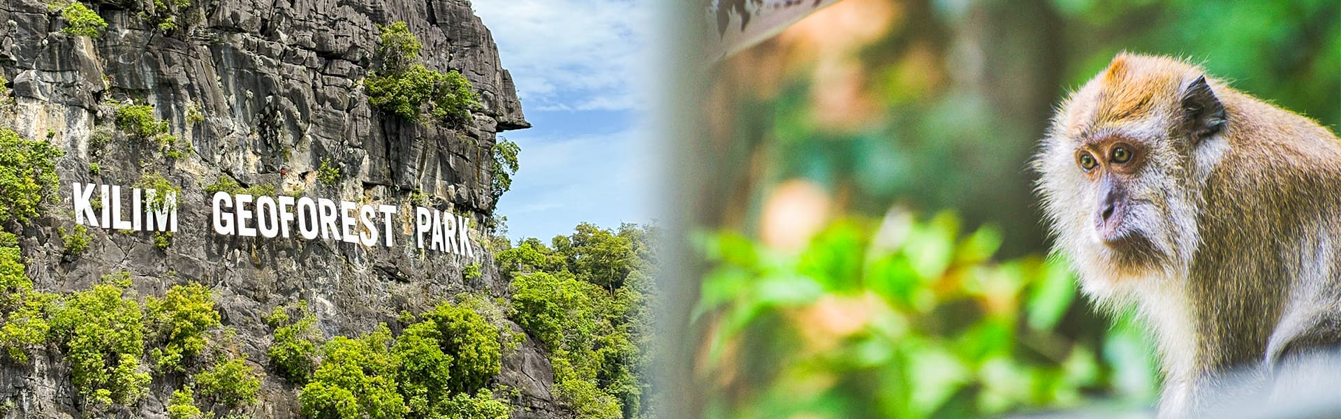 Homepage Image Updated 3